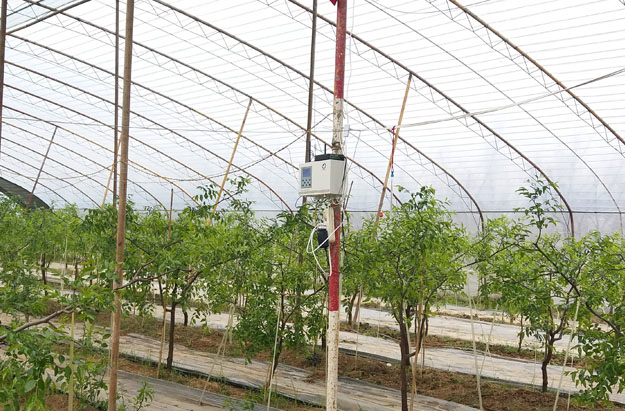 ���������ض�����ֲ